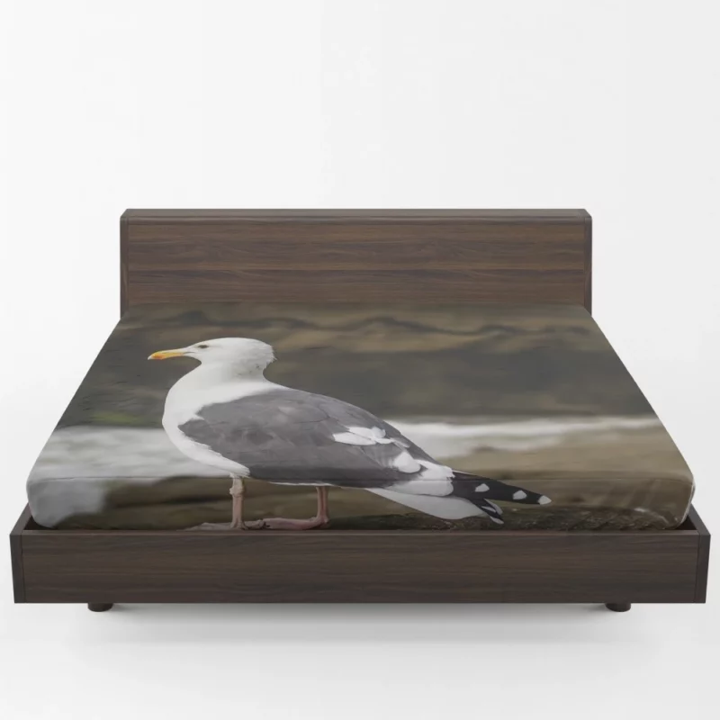 Seagull Coastal Pause Rocky Reflection Fitted Sheet