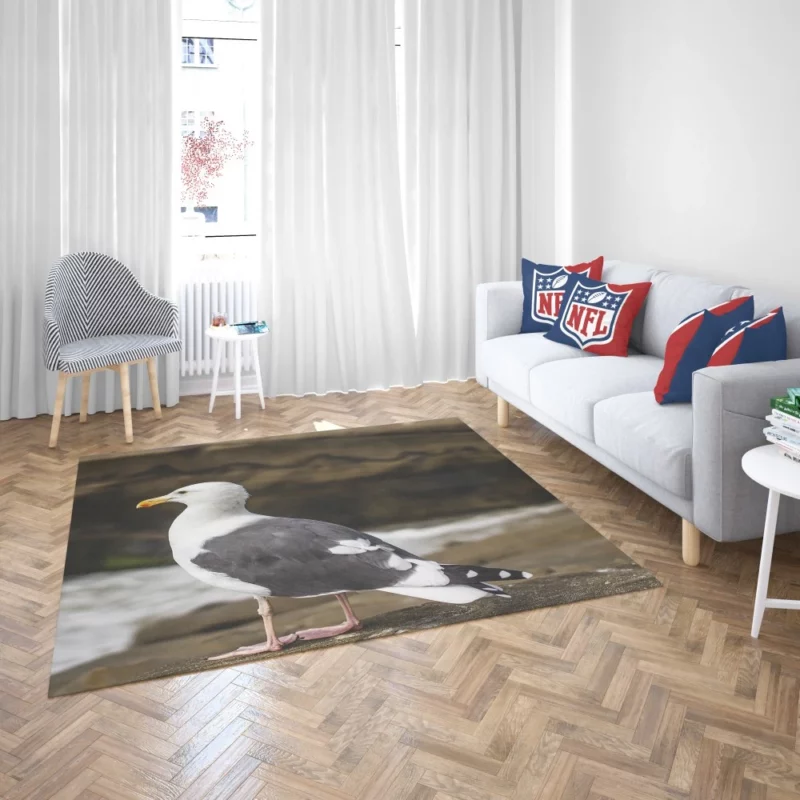 Seagull Coastal Pause Rocky Reflection Rug 2