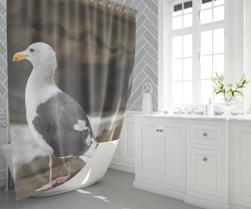 Seagull Coastal Pause Rocky Reflection Shower Curtain 1