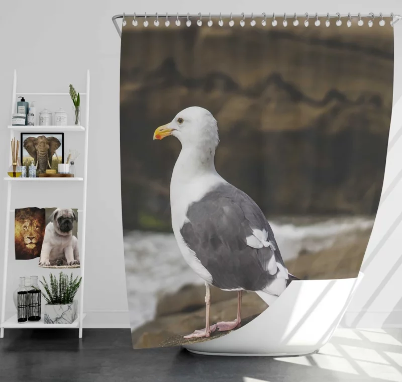 Seagull Coastal Pause Rocky Reflection Shower Curtain