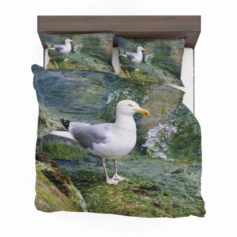 Seagull Coastal Watch Shoreline Guardian Bedding Set 1