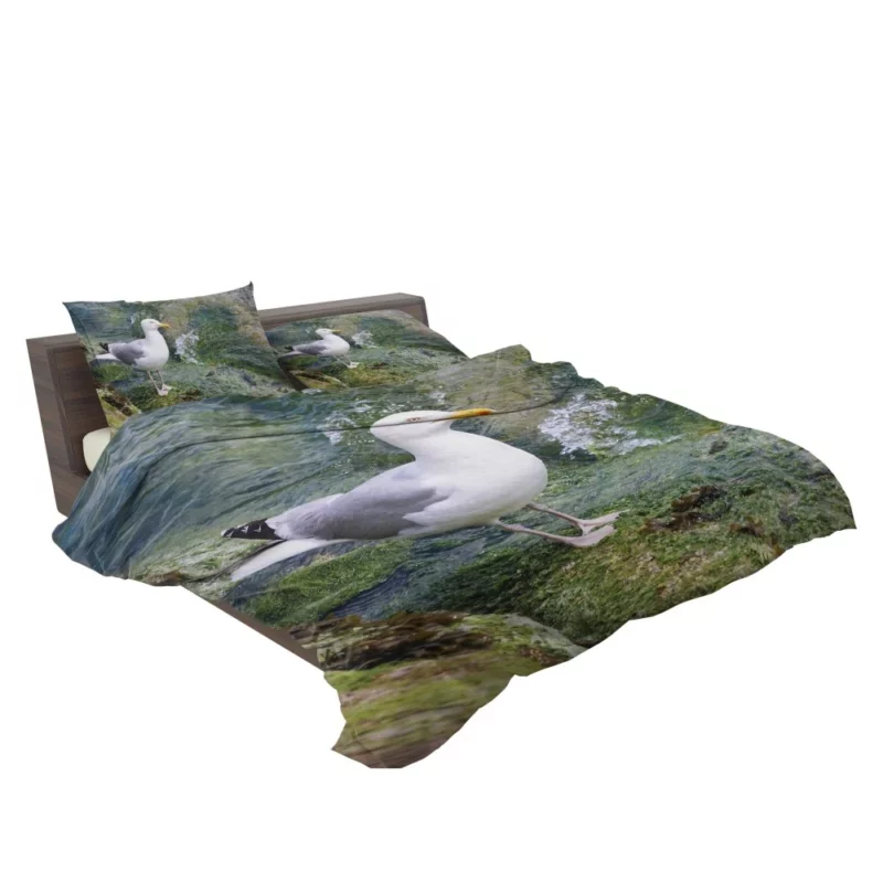 Seagull Coastal Watch Shoreline Guardian Bedding Set 2