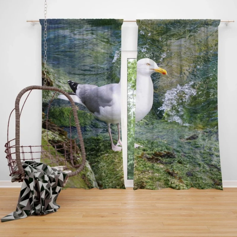 Seagull Coastal Watch Shoreline Guardian Curtain