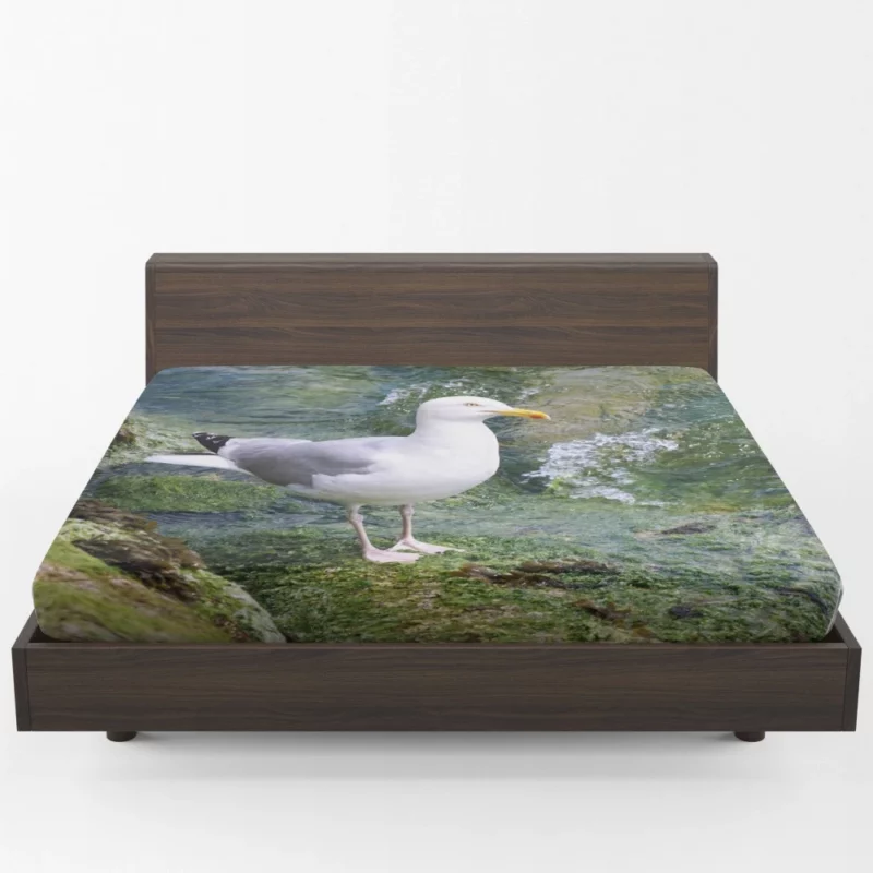 Seagull Coastal Watch Shoreline Guardian Fitted Sheet