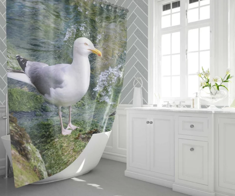 Seagull Coastal Watch Shoreline Guardian Shower Curtain 1