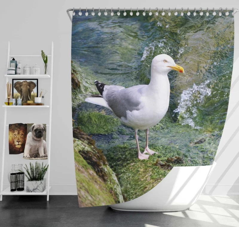 Seagull Coastal Watch Shoreline Guardian Shower Curtain