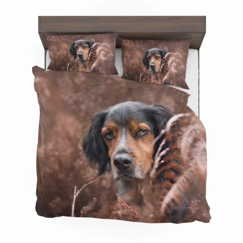 Sennenhund Fern Stare Majestic Wonder Bedding Set 1