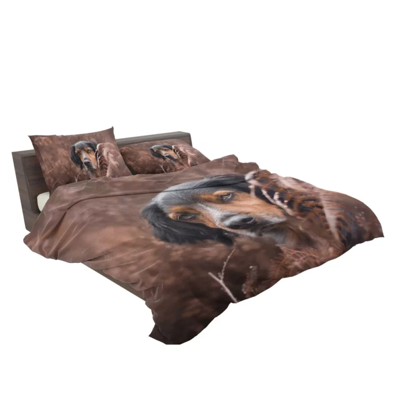 Sennenhund Fern Stare Majestic Wonder Bedding Set 2