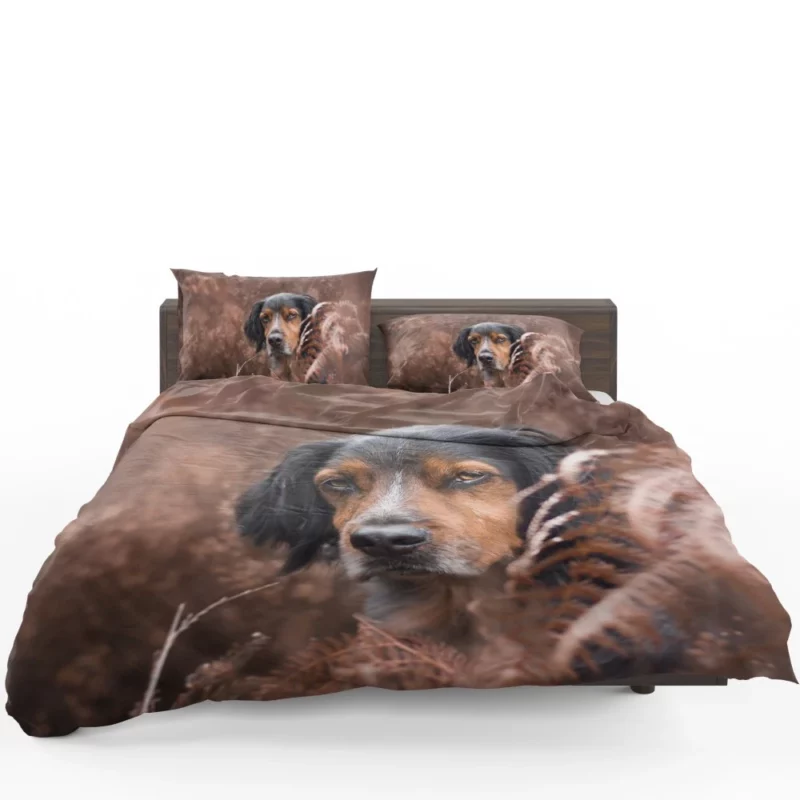 Sennenhund Fern Stare Majestic Wonder Bedding Set