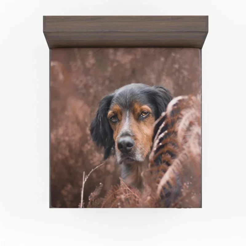 Sennenhund Fern Stare Majestic Wonder Fitted Sheet 1