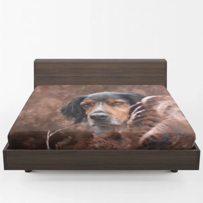 Sennenhund Fern Stare Majestic Wonder Fitted Sheet