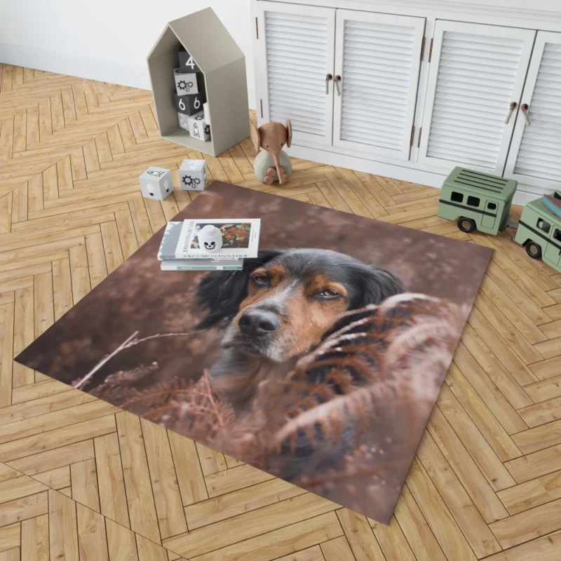 Sennenhund Fern Stare Majestic Wonder Rug 1