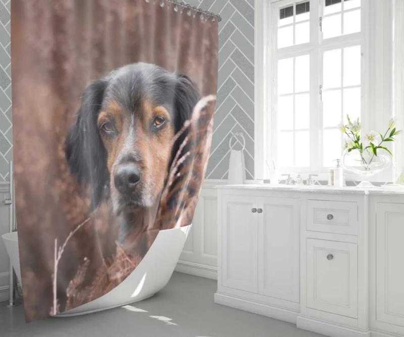 Sennenhund Fern Stare Majestic Wonder Shower Curtain 1