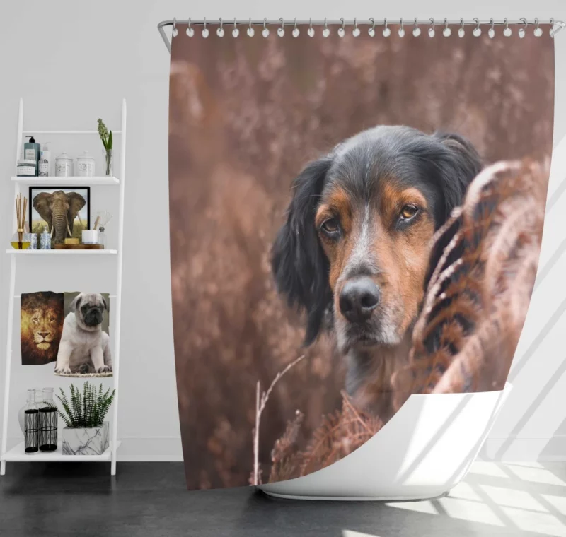 Sennenhund Fern Stare Majestic Wonder Shower Curtain