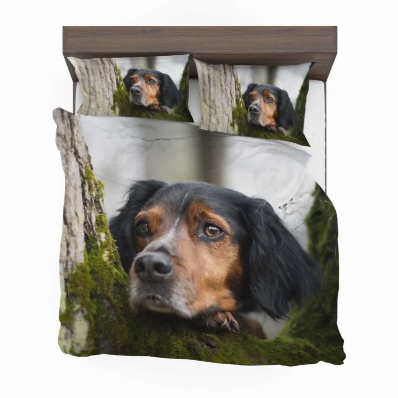 Sennenhund Intense Stare Canine Majesty Bedding Set 1