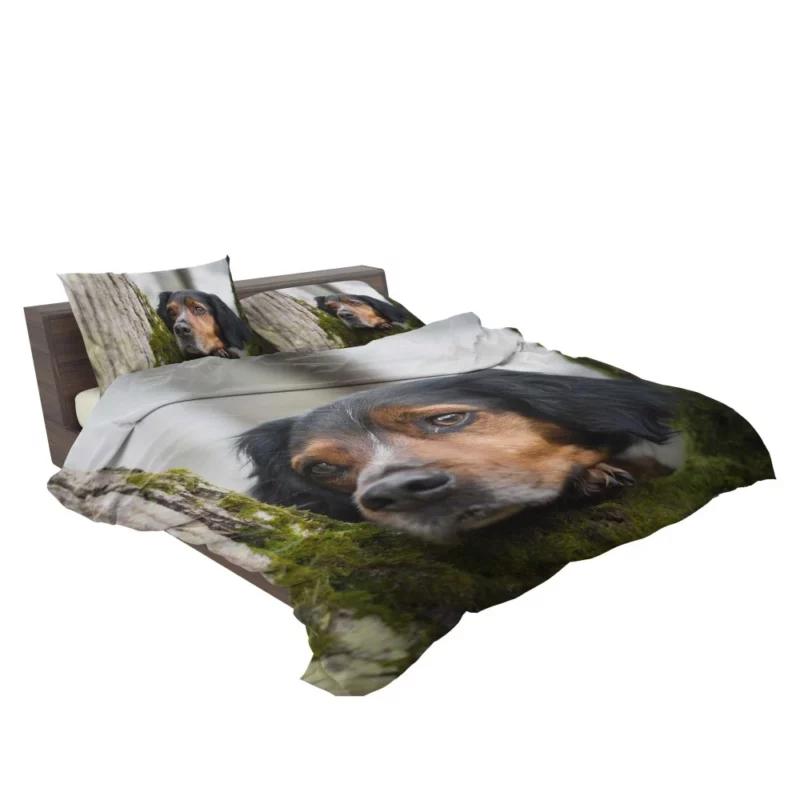 Sennenhund Intense Stare Canine Majesty Bedding Set 2