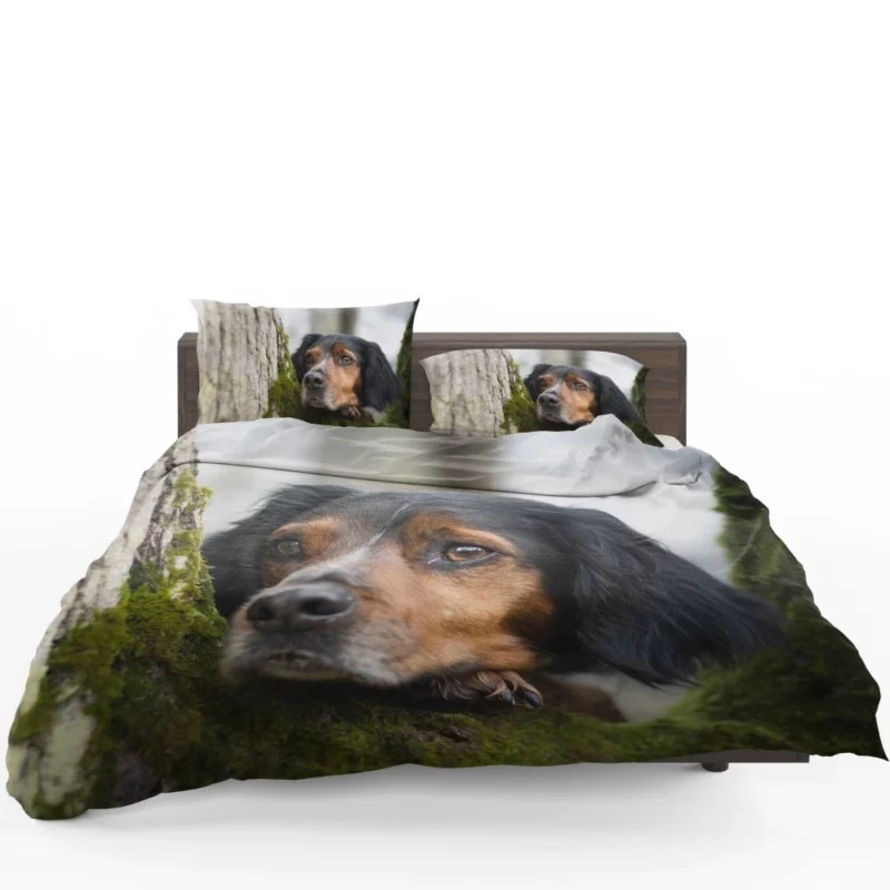 Sennenhund Intense Stare Canine Majesty Bedding Set