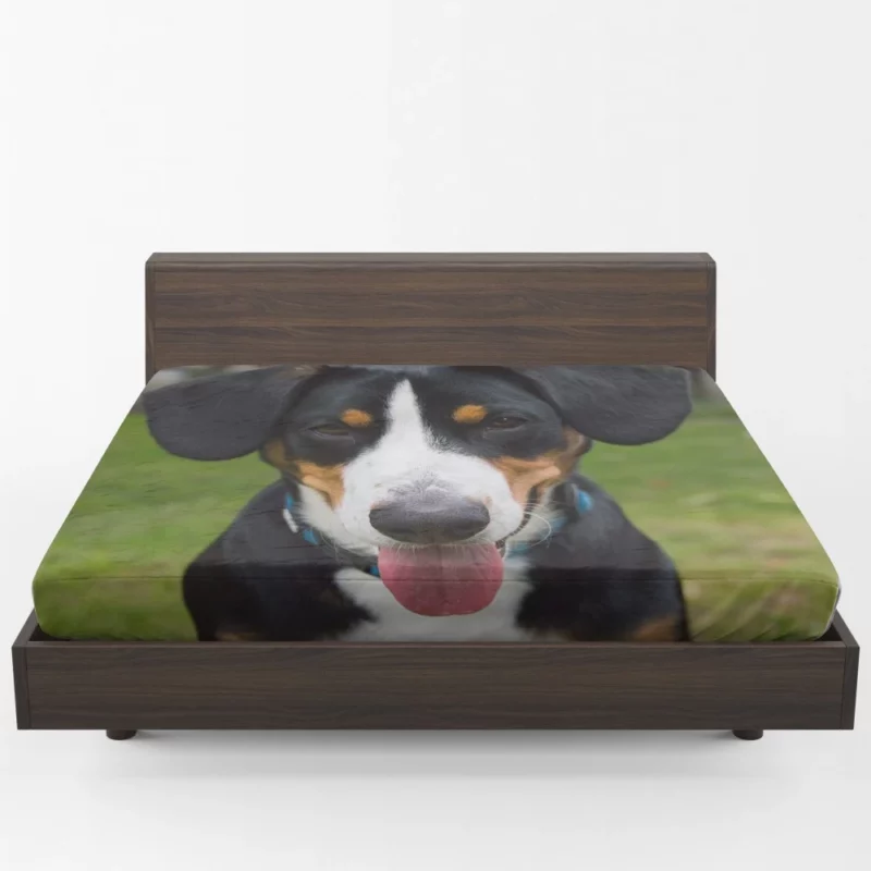 Sennenhund Relaxed Pose Mountain Comfort Fitted Sheet