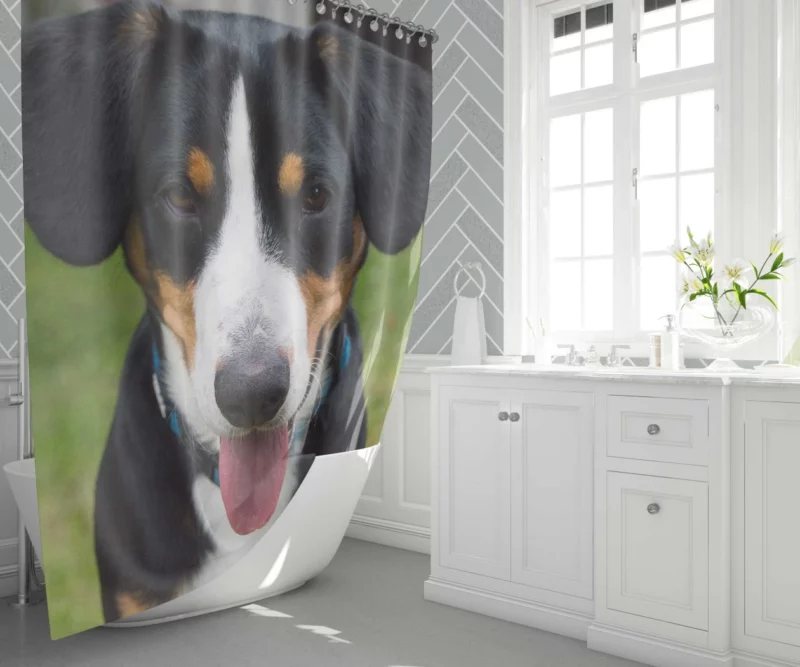 Sennenhund Relaxed Pose Mountain Comfort Shower Curtain 1