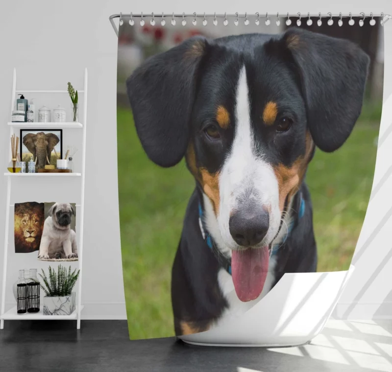 Sennenhund Relaxed Pose Mountain Comfort Shower Curtain