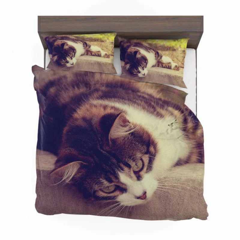 Serene Cat Posture Bedding Set 1