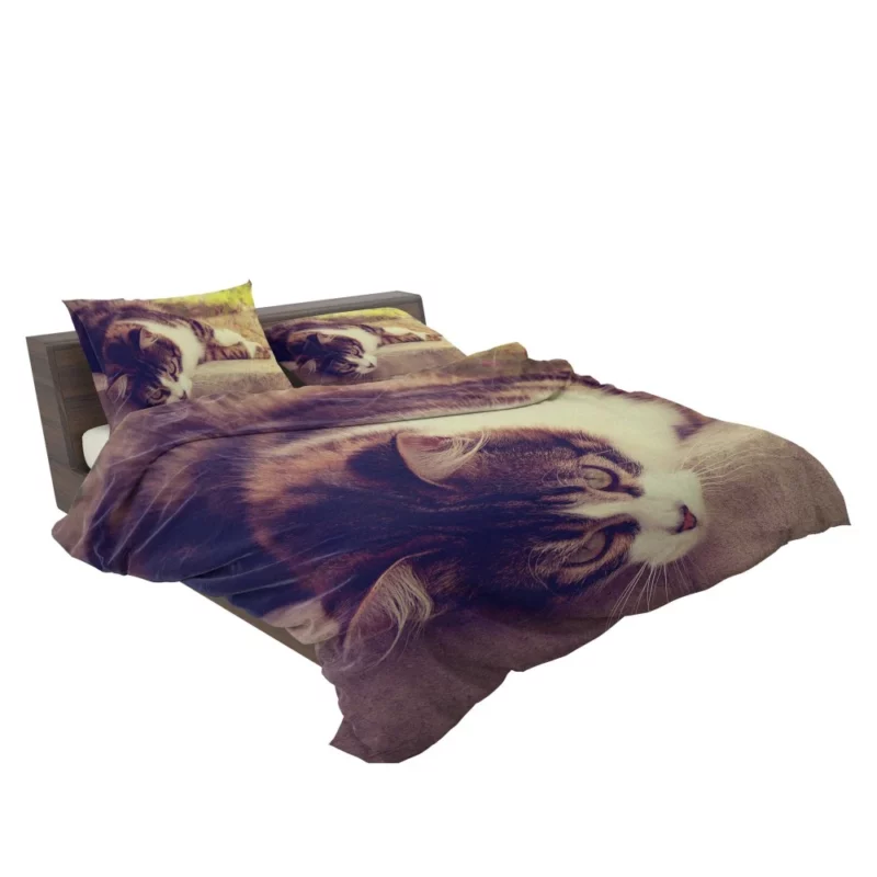 Serene Cat Posture Bedding Set 2