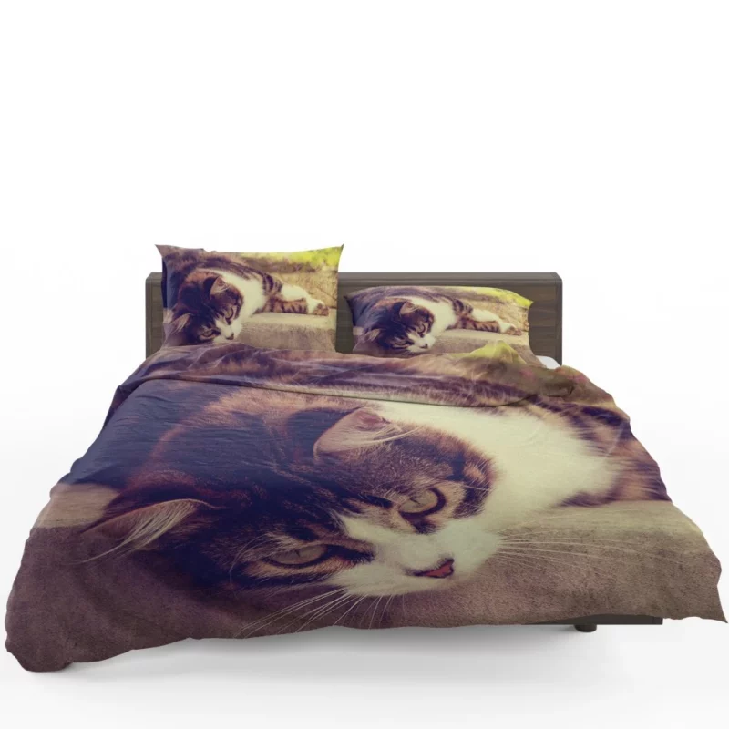 Serene Cat Posture Bedding Set