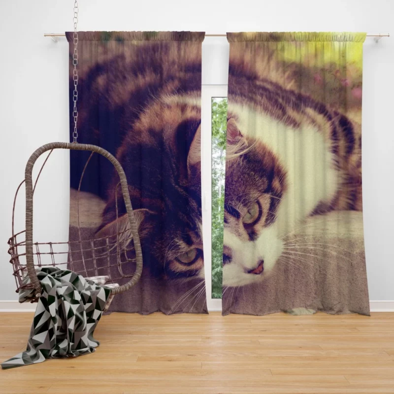 Serene Cat Posture Curtain