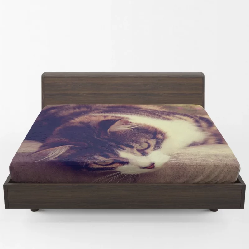 Serene Cat Posture Fitted Sheet