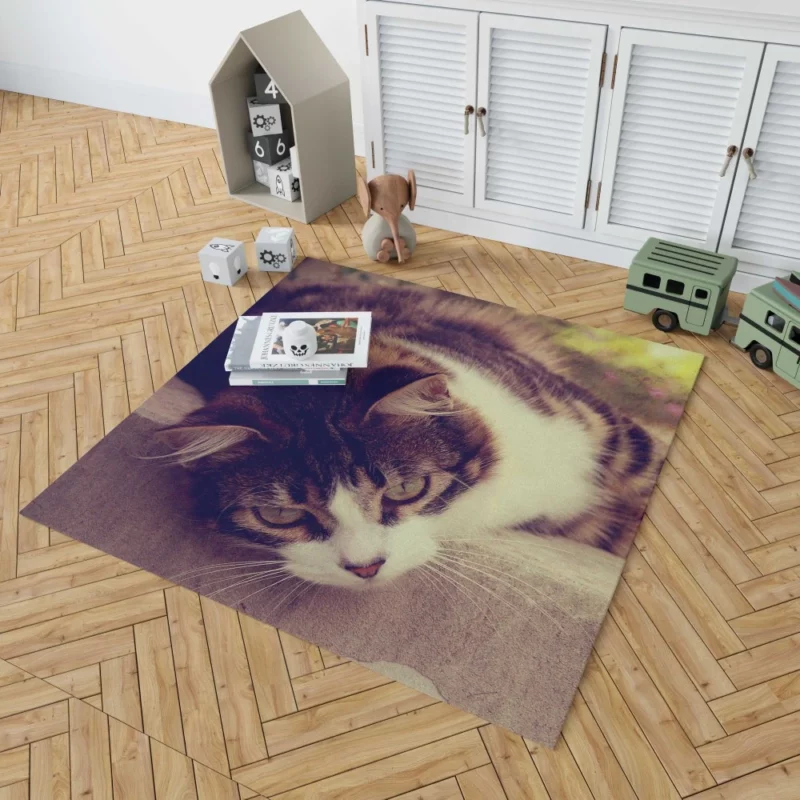 Serene Cat Posture Rug 1