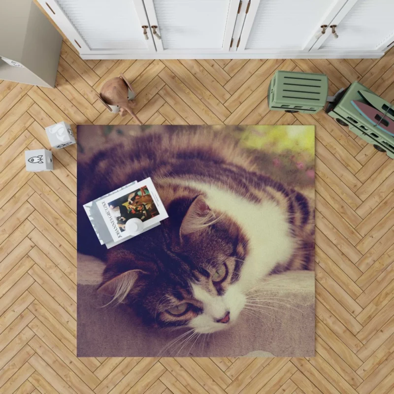 Serene Cat Posture Rug