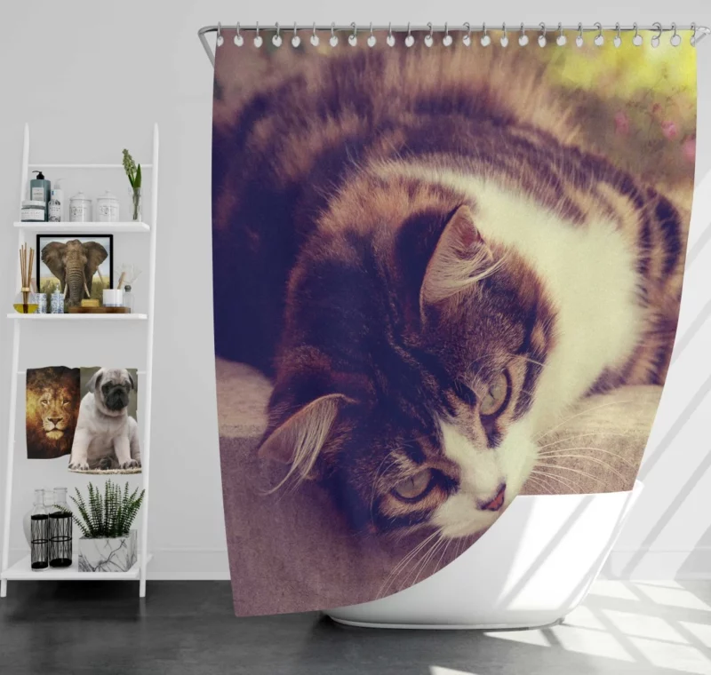 Serene Cat Posture Shower Curtain