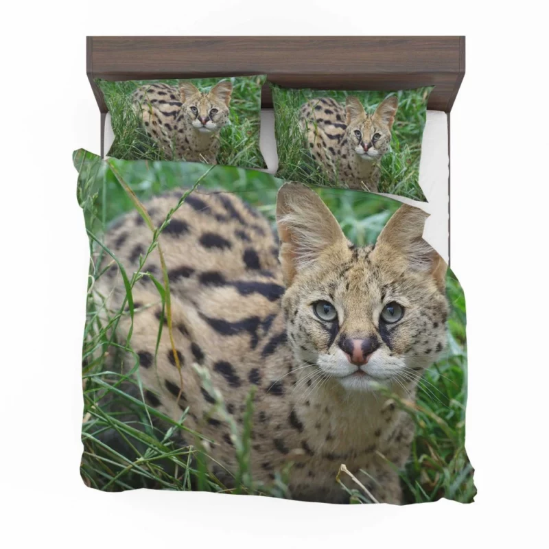 Serval in Grass Wild Elegance Bedding Set 1