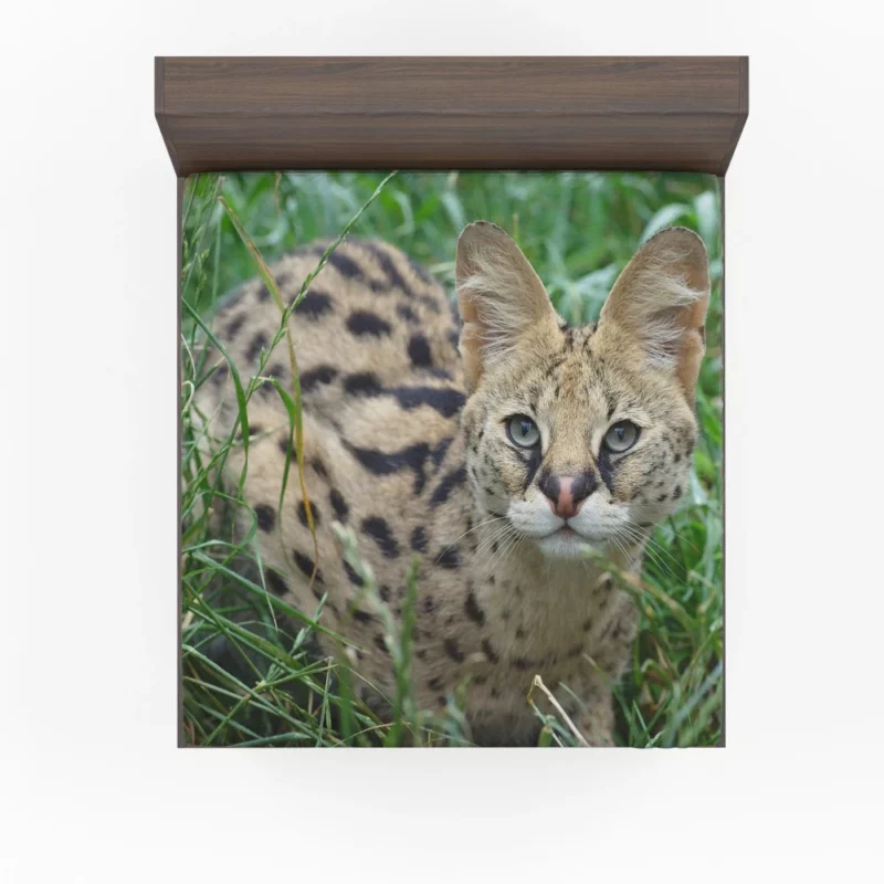 Serval in Grass Wild Elegance Fitted Sheet 1