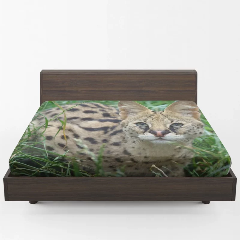 Serval in Grass Wild Elegance Fitted Sheet