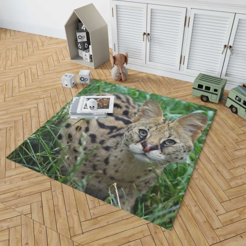 Serval in Grass Wild Elegance Rug 1