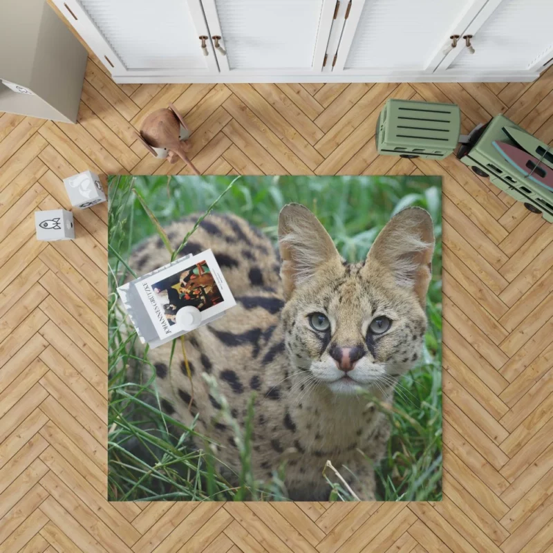 Serval in Grass Wild Elegance Rug