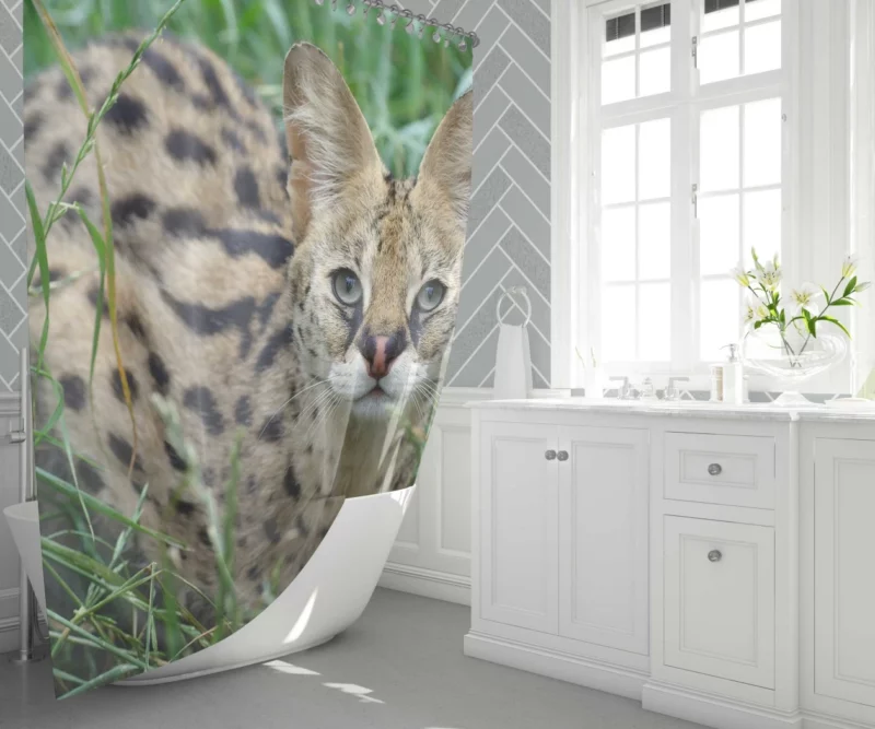 Serval in Grass Wild Elegance Shower Curtain 1