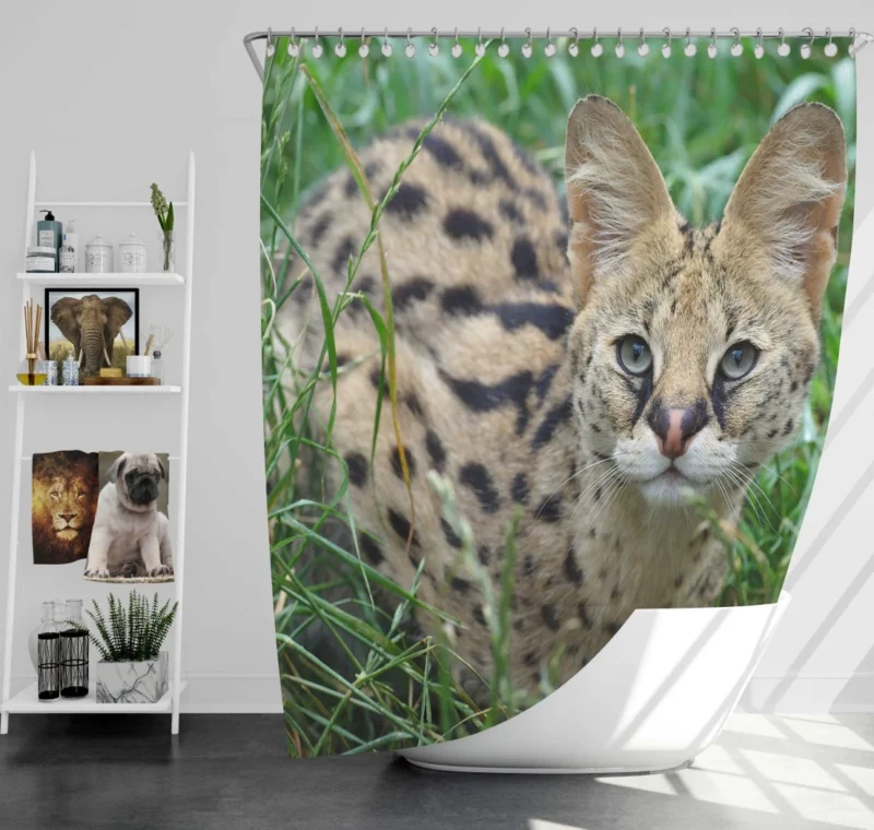 Serval in Grass Wild Elegance Shower Curtain