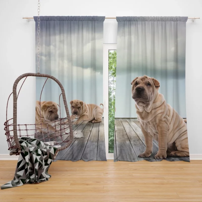 Shar Pei Mouse Encounter Curious Watch Curtain