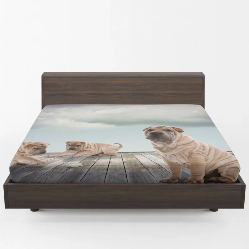 Shar Pei Mouse Encounter Curious Watch Fitted Sheet