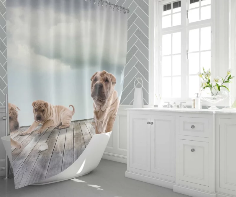 Shar Pei Mouse Encounter Curious Watch Shower Curtain 1