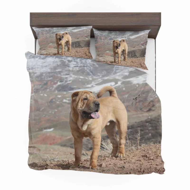 Shar Pei Wrinkled Charm Playful Spirit Bedding Set 1