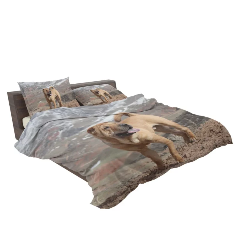 Shar Pei Wrinkled Charm Playful Spirit Bedding Set 2