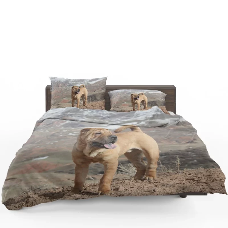 Shar Pei Wrinkled Charm Playful Spirit Bedding Set