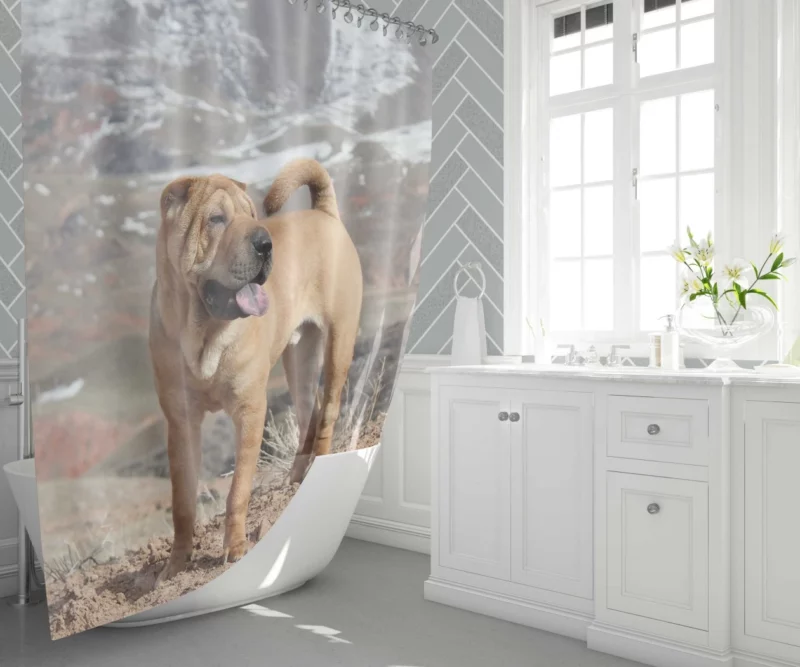 Shar Pei Wrinkled Charm Playful Spirit Shower Curtain 1