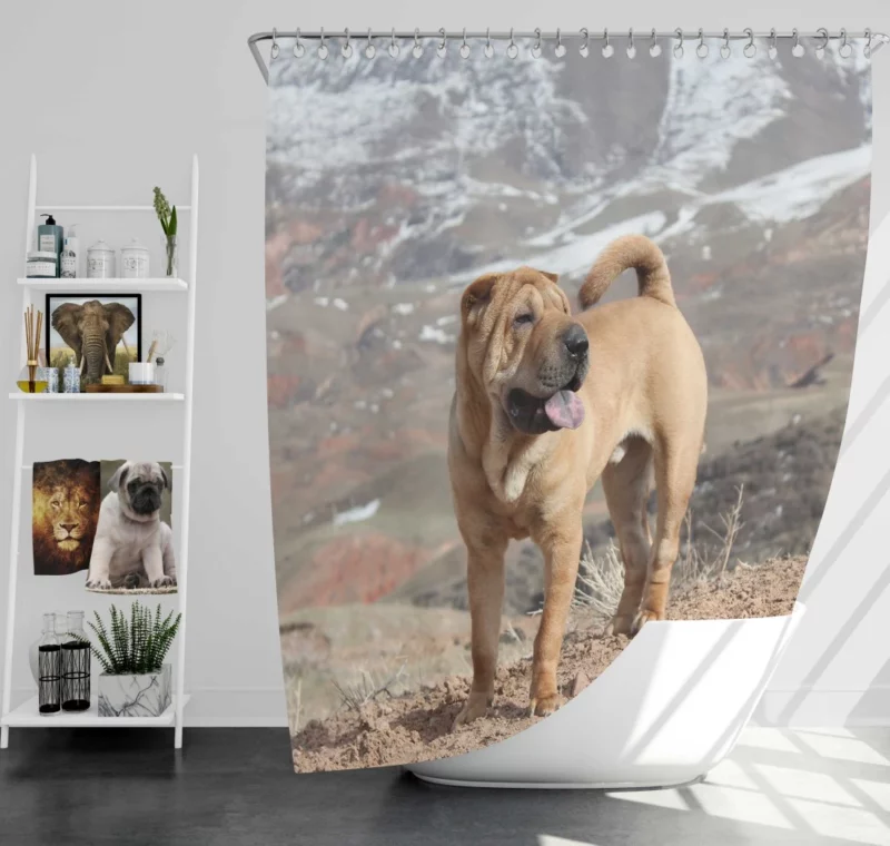 Shar Pei Wrinkled Charm Playful Spirit Shower Curtain