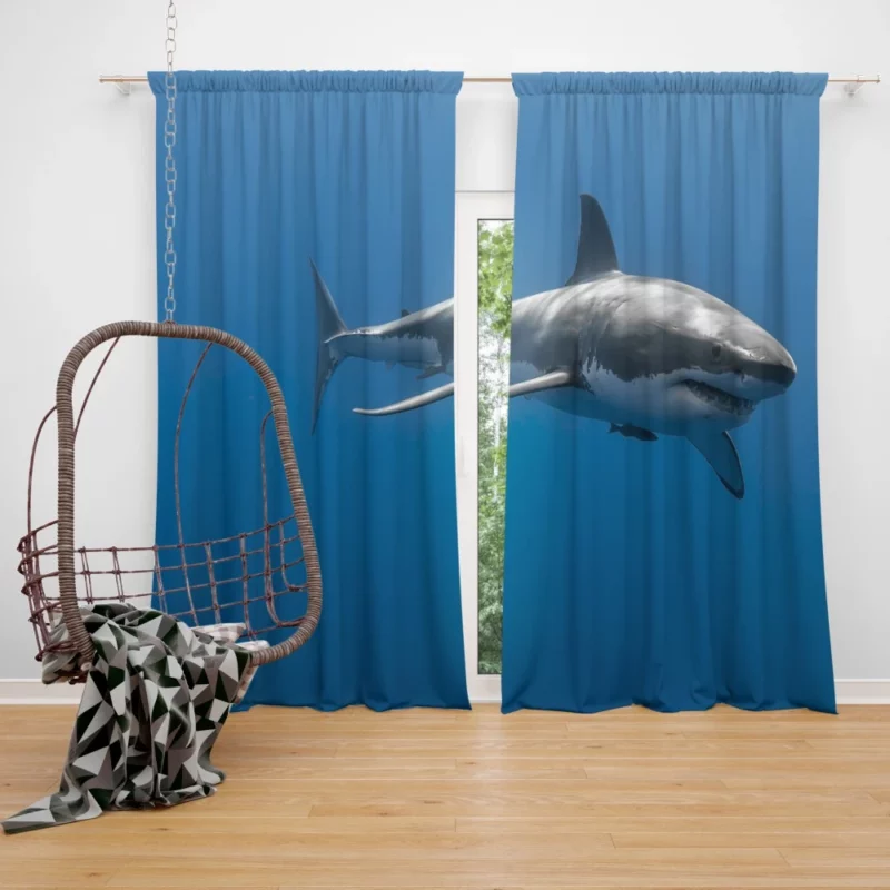 Shark Dominance Oceanic Majesty Curtain