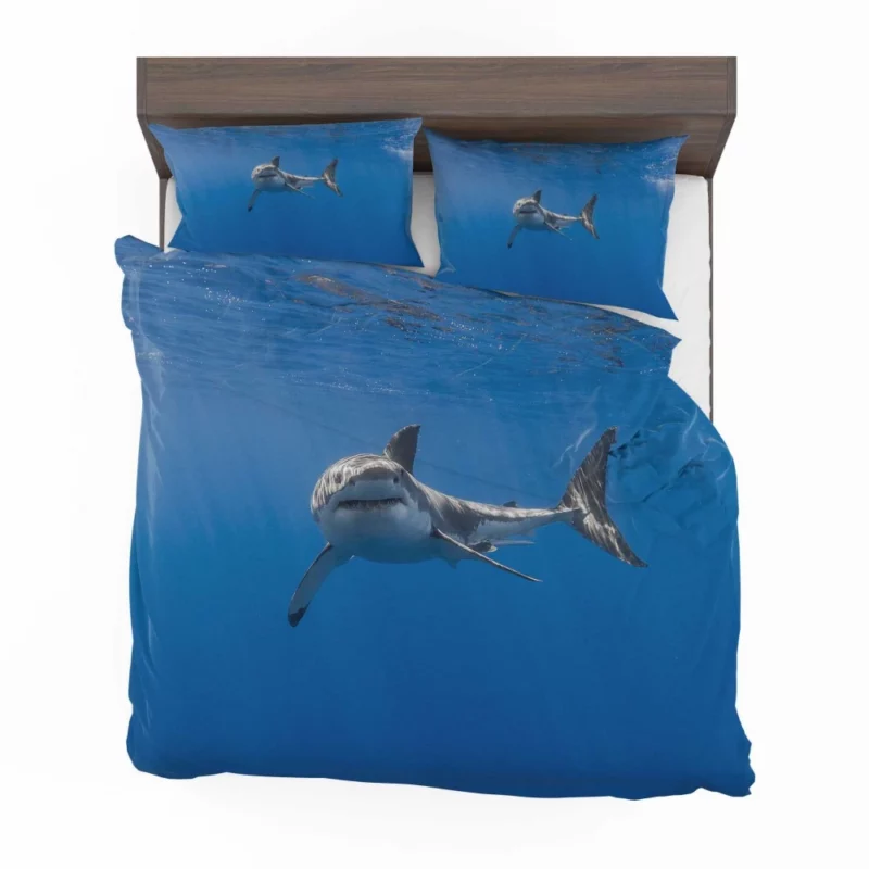 Shark Underwater Pursuit Ocean Drama Bedding Set 1