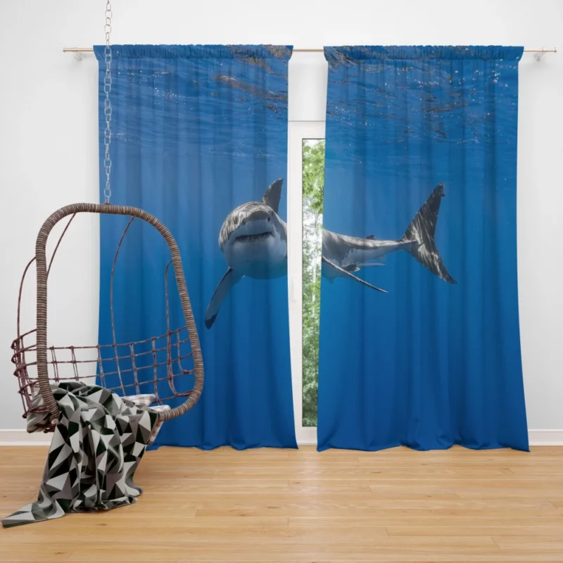 Shark Underwater Pursuit Ocean Drama Curtain